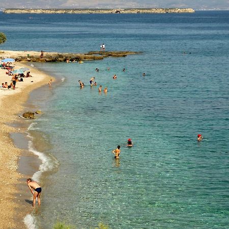 Tarsa Studios دريوس المظهر الخارجي الصورة